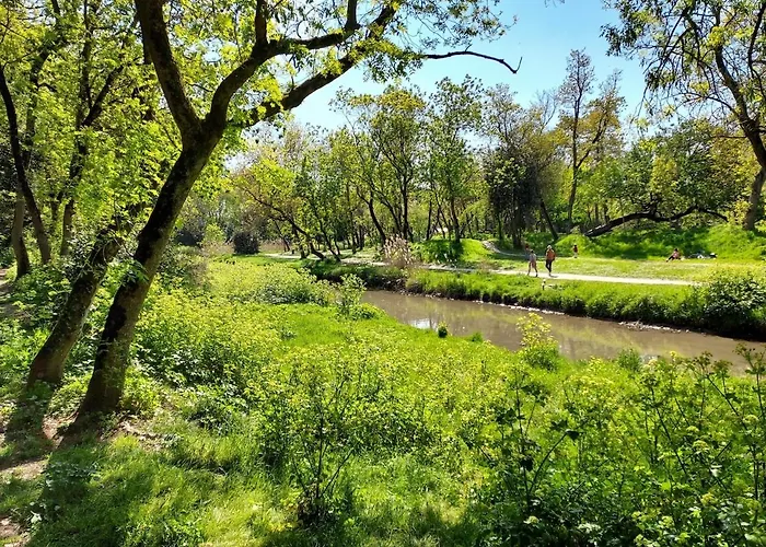 La Terrasse Du Marche Apartamento